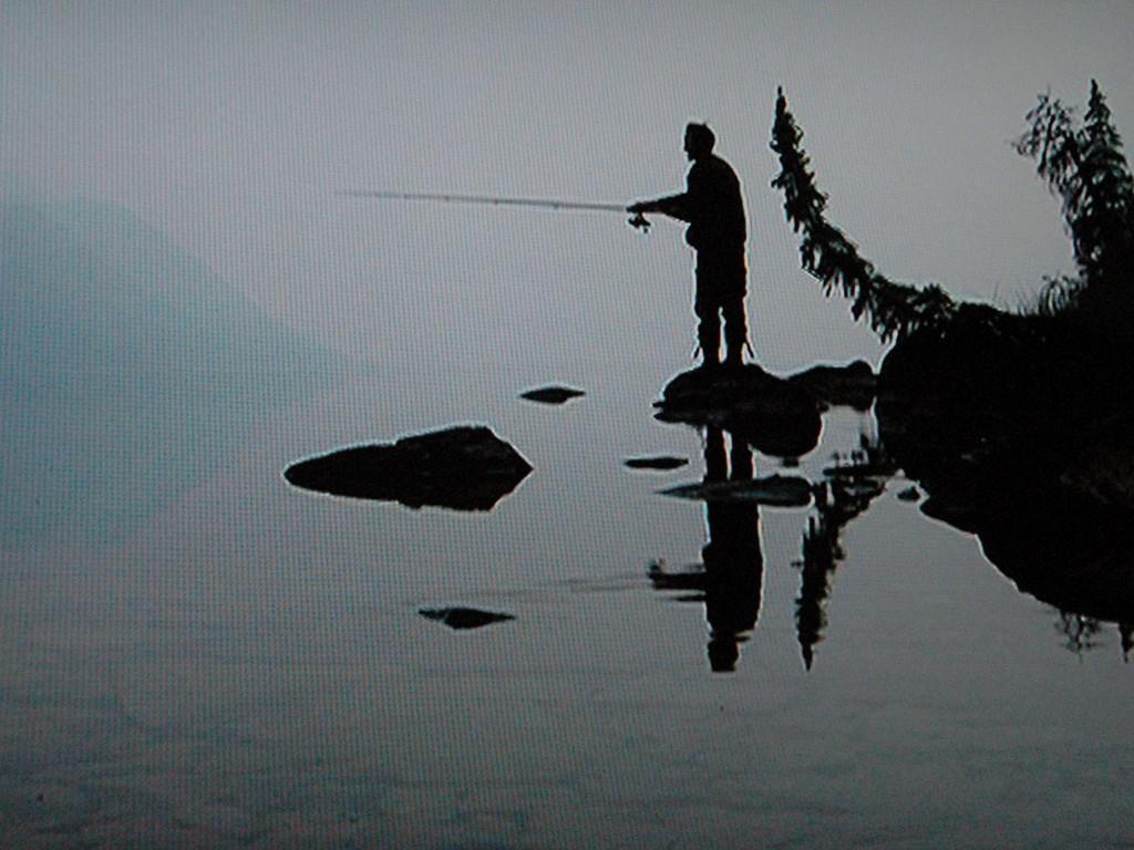 Fishing Wallpapers - fishing-fly-gone-177363.jpg
